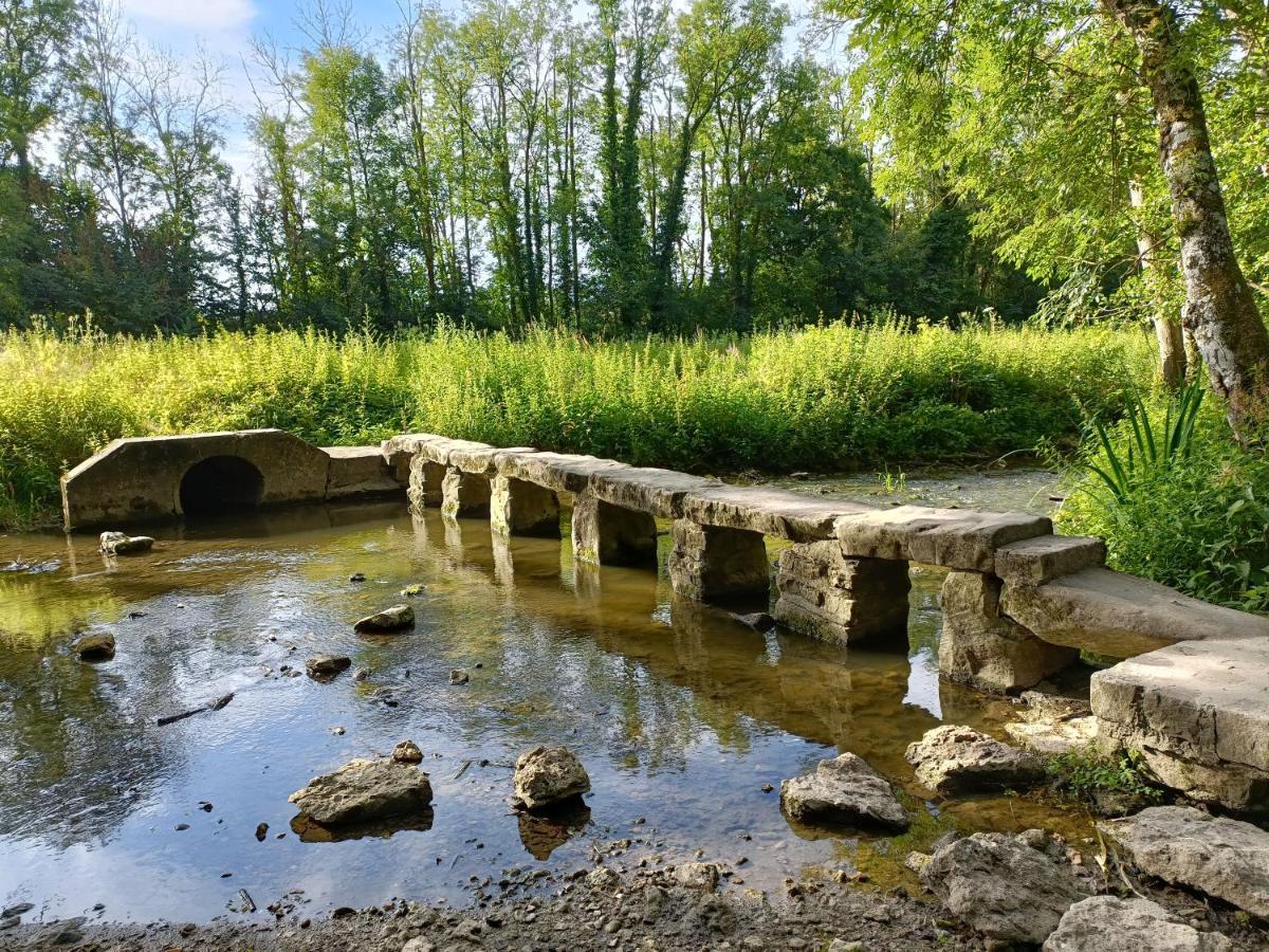 Mettez vous au vert près du château de Vaux le Vicomte en sous sol semi enterré Maincy Quarto foto